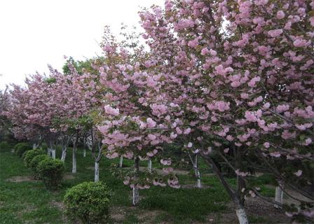 明光市市委书记被杏彩娱乐企业文化深深感动 | 深入沟通合作空间广阔