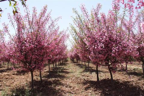 明光市市委书记被杏彩娱乐企业文化深深感动 | 深入沟通合作空间广阔