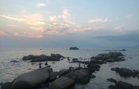 杏彩娱乐：新的经营模式应当立足在商业模式之上