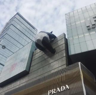 杏彩娱乐:提升领导力 为企业清除障碍