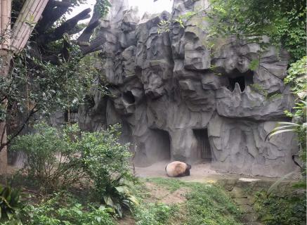 杏彩娱乐：完善股权激励制度 持续推动企业做大做优做强