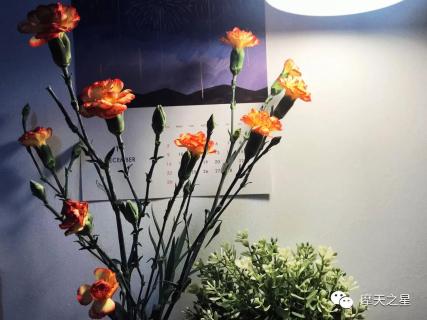 优秀的你,被什么限制了创造力?