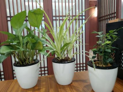 想要成为优秀的企业管理者,从拥有领导力开始